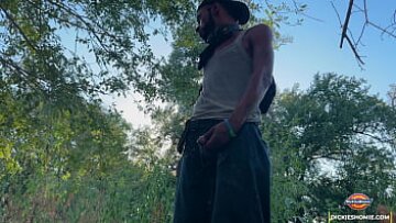 Impulsos públicos y pandillas en el bosque transparente